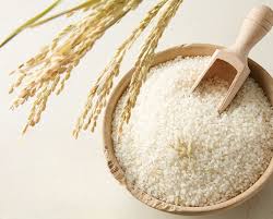Polao Rice