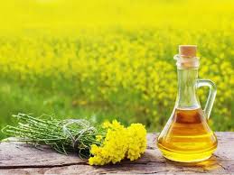 Mastard Oil